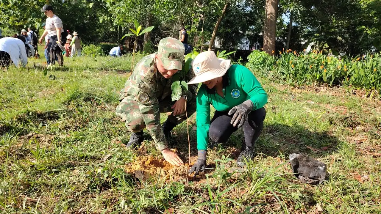 reforestacion-ejercito-bajocauca-cordoba2