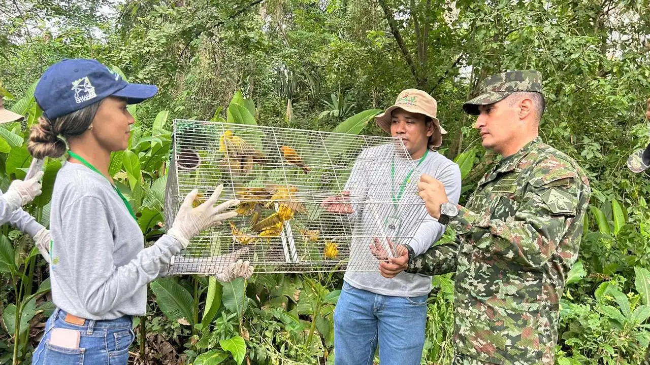 reforestacion-ejercito-bajocauca-cordoba3