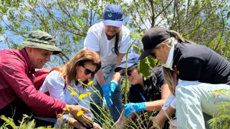 siembra-arboles-rionegro-ceo-cornare