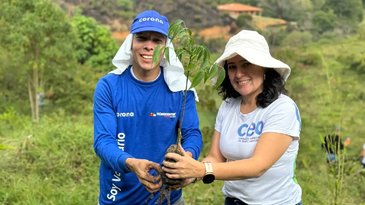 siembra-arboles-rionegro-ceo-cornare1