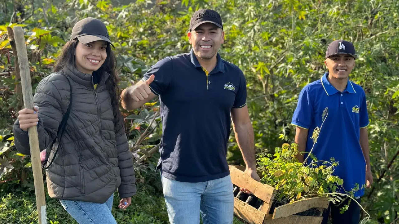 siembra-arboles-rionegro-ceo-cornare2