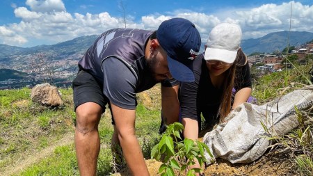 ¡Qué belleza! Estudiantes de Institución Educativa de Medellín sembraron árboles para ayudar al planeta