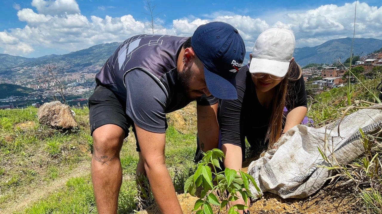 ¡Qué belleza! Estudiantes de Institución Educativa de Medellín sembraron árboles para ayudar al planeta