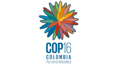 COP16