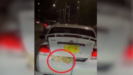 ¡Indignante! En la Avenida Regional, llevaban a un perrito en el baúl de un carro