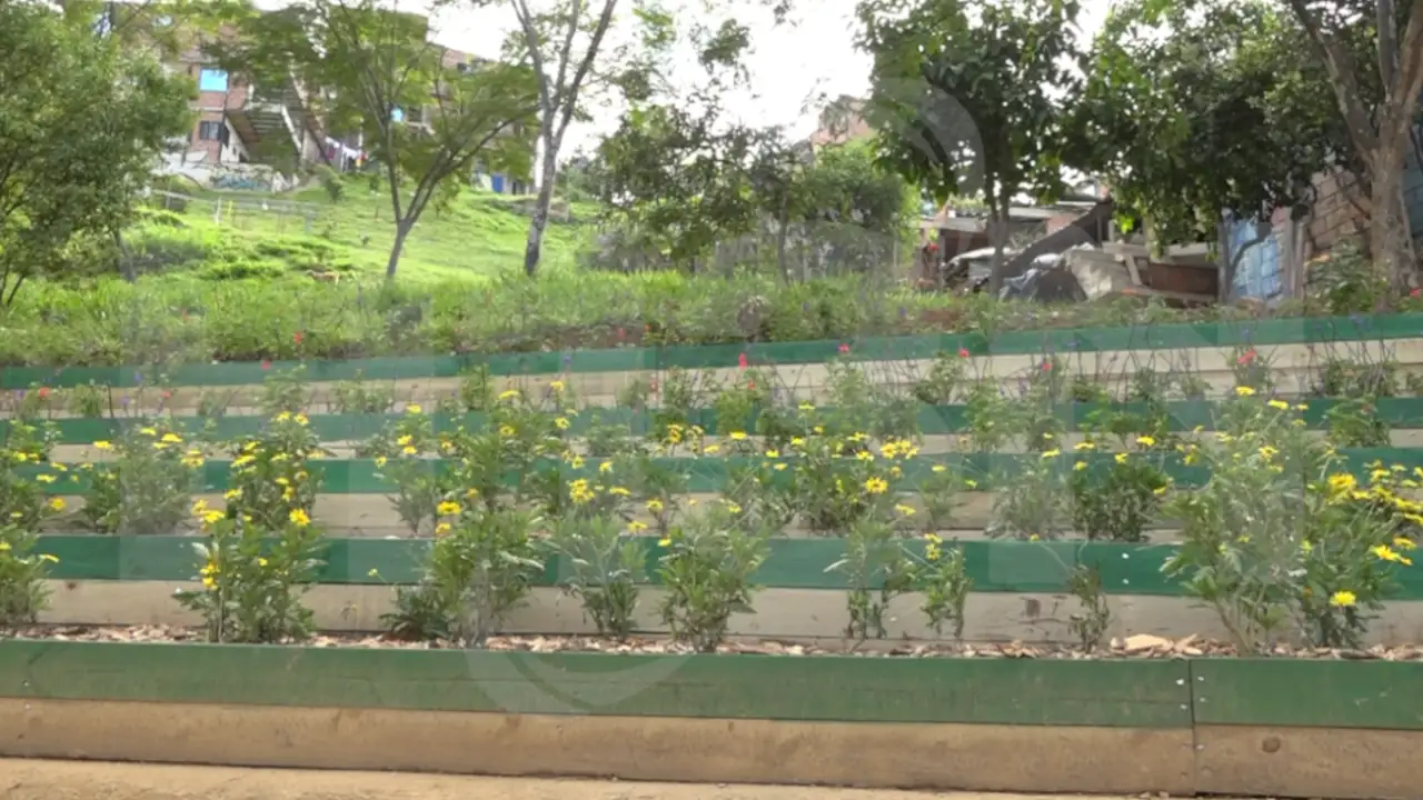 Jardín