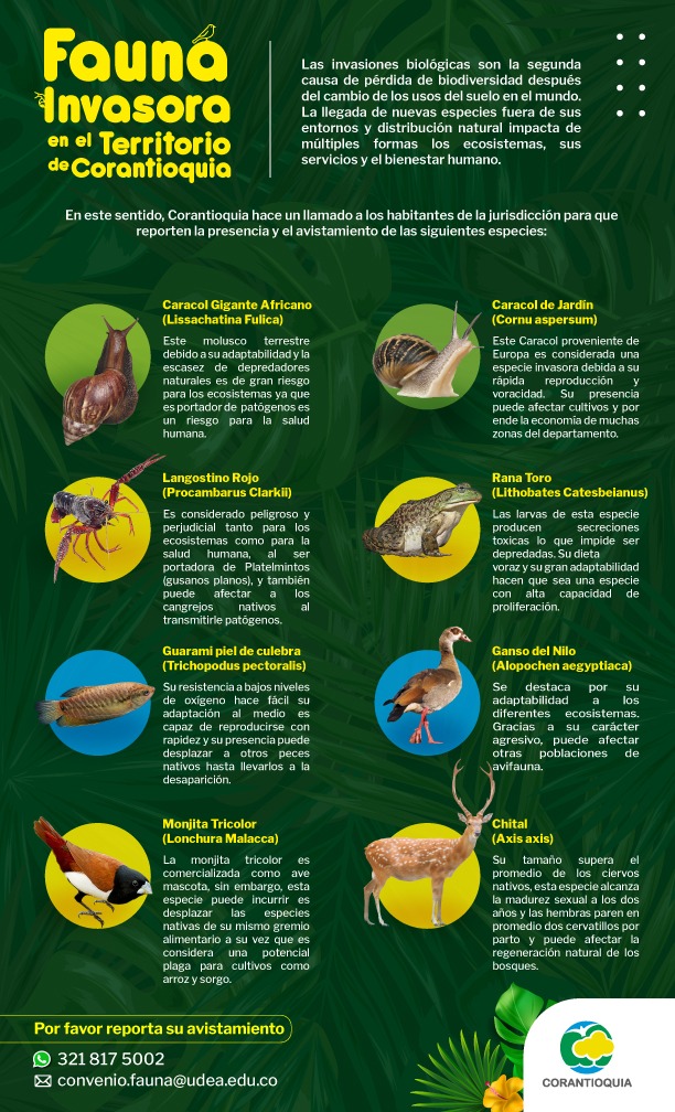 Especies invasoras buscadas por corantioquia