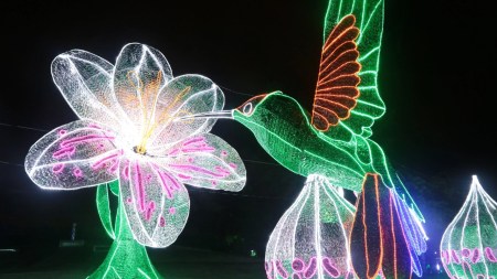 cuando-encienden-alumbrados-navideños-2024-antioquia