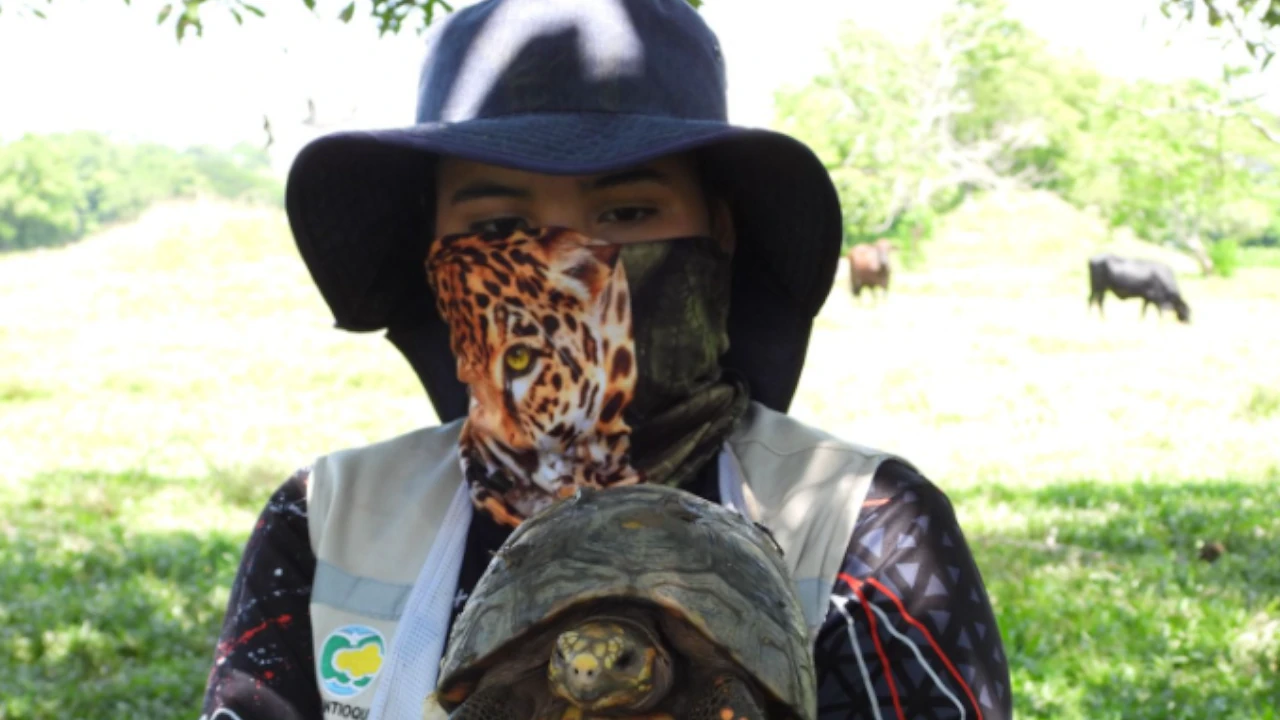 animales.rescatados1