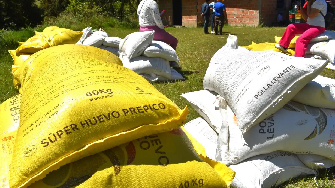 apoyos-campesinos-desplazados-antioquia2