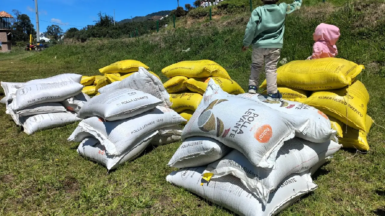 apoyos-campesinos-desplazados-antioquia3