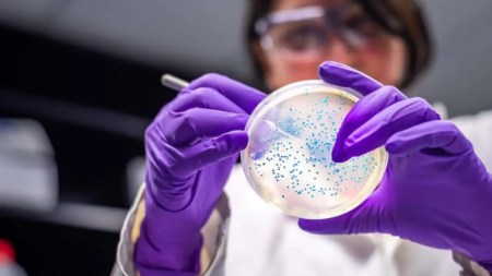 Reconocida marca de hamburguesas enfrenta investigaciones por presunta bacteria en sus productos bacteria
