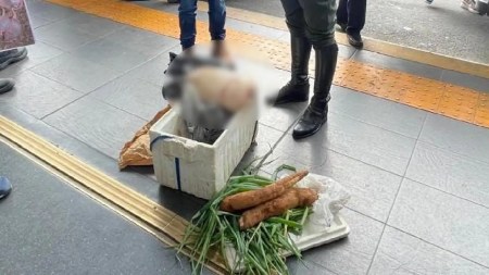 incautacion-carne-armadillo-terminales-medellin