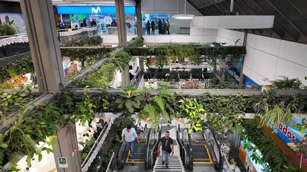 JArdín colgante