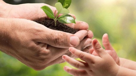 Concientícese de cuidar de la naturaleza, mañana se celebra el día internacional