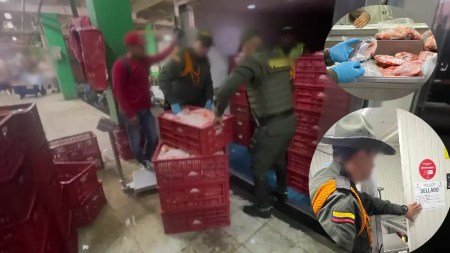 pescado-incautado-falta-documentacion