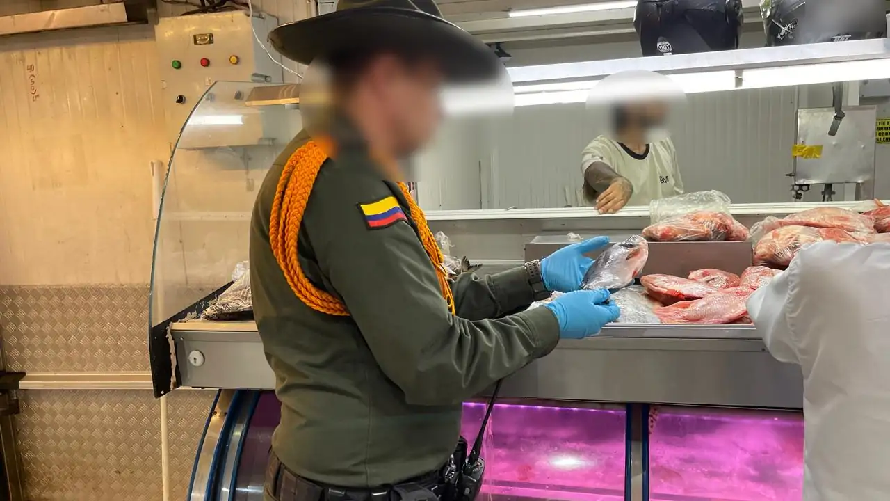 Por falta de documentación, incautaron más de 7 toneladas de pescado en un local de la Minorista 1 pescado-incautado-falta-documentacion1