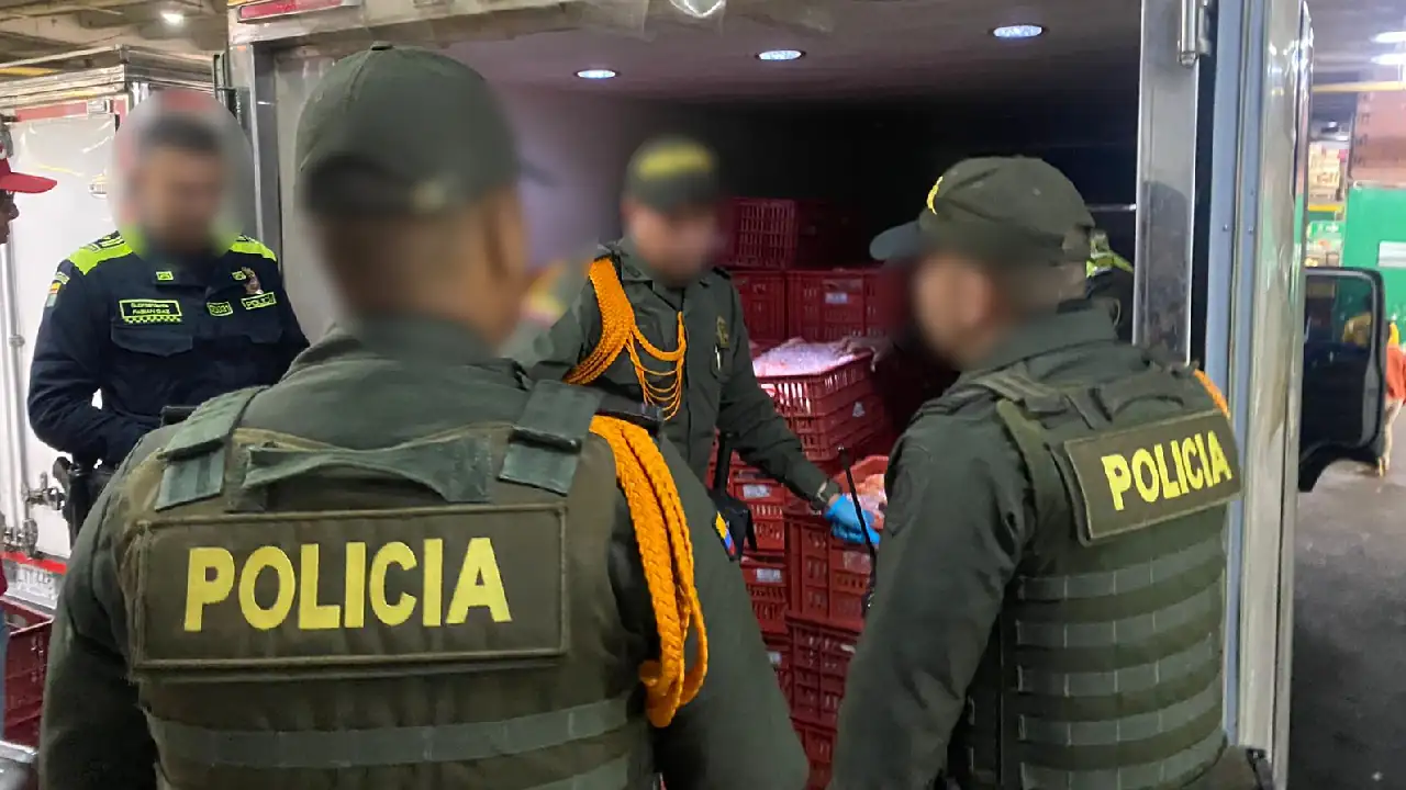 Por falta de documentación, incautaron más de 7 toneladas de pescado en un local de la Minorista 4 pescado-incautado-falta-documentacion2