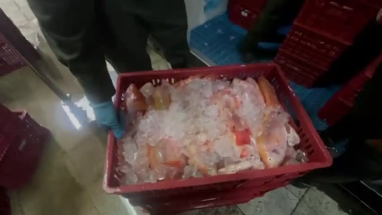 Por falta de documentación, incautaron más de 7 toneladas de pescado en un local de la Minorista 2 pescado-incautado-falta-documentacion3