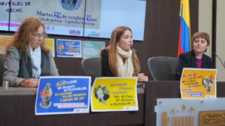 Nueva Ley Violencia Intrafamiliar