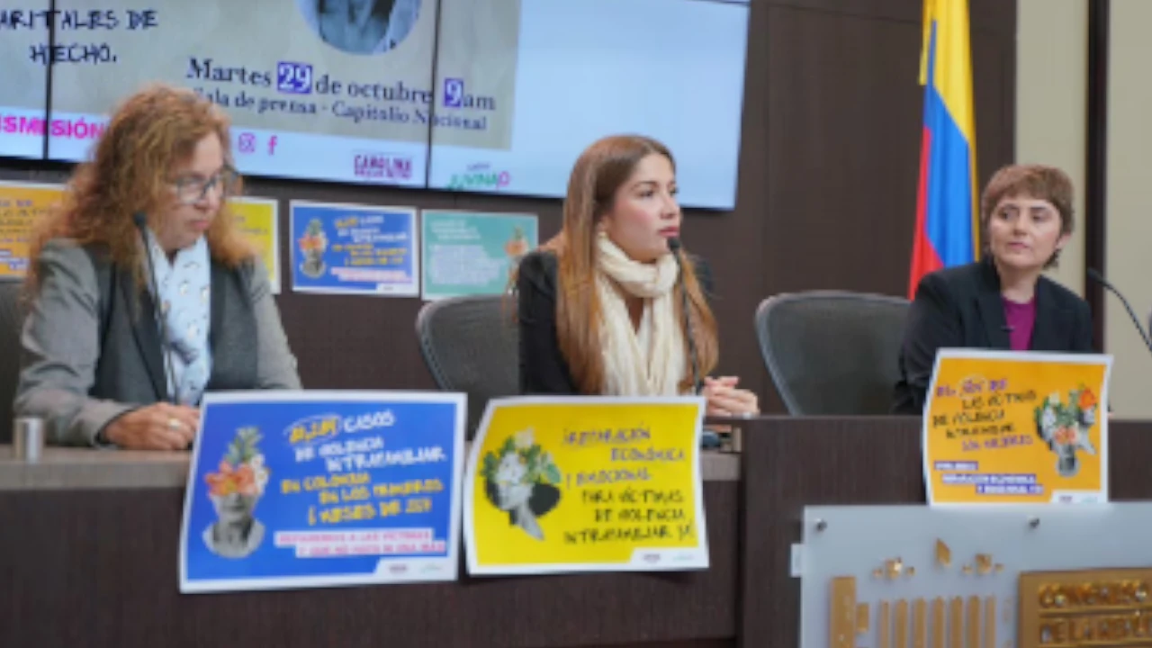 Nueva Ley Violencia Intrafamiliar