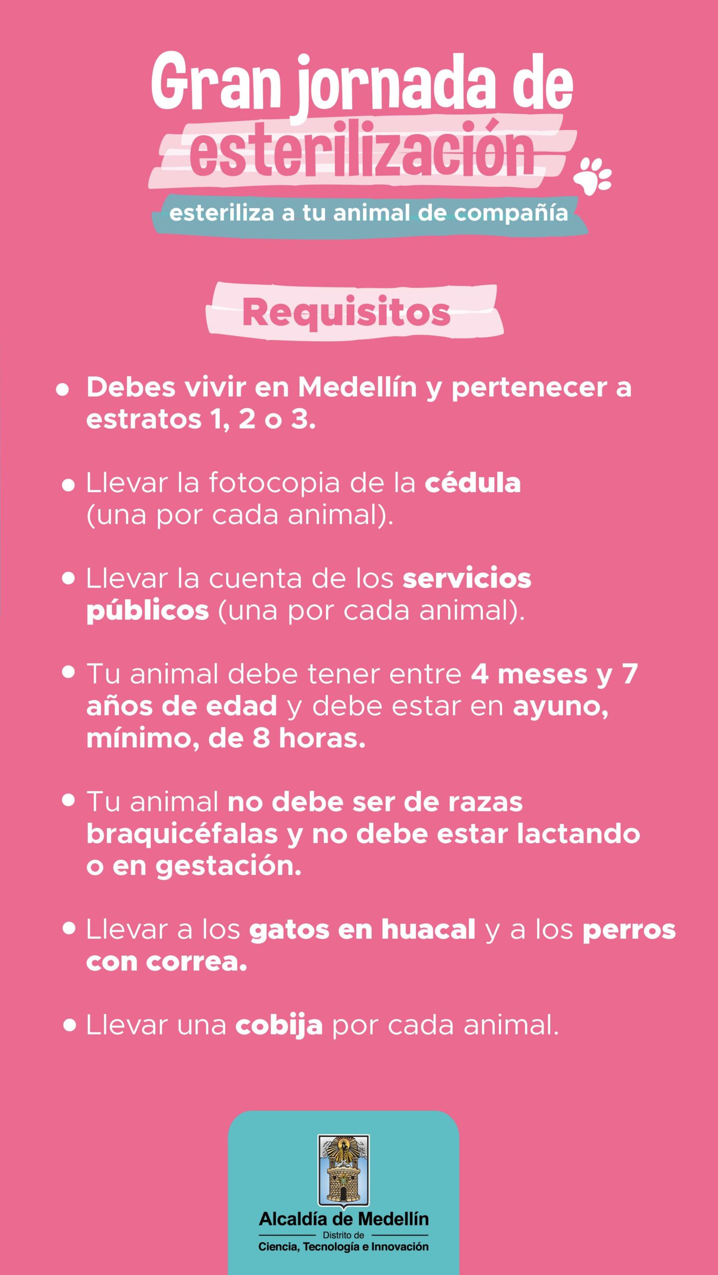 WhatsApp Image 2024 11 20 at 4.41.25 PM 1 scaled