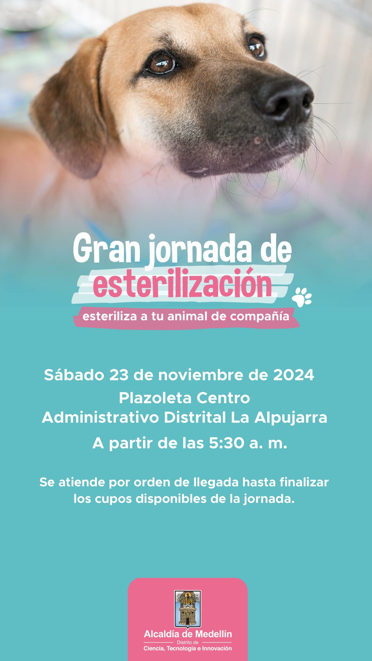 WhatsApp Image 2024 11 20 at 4.41.25 PM scaled