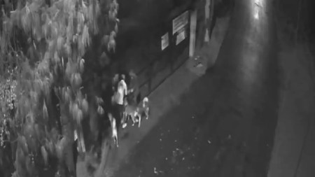 ¡Indignante! En Rionegro tres personas abandonaron a tres perros a las afueras de un Centro Bienestar Animal abandono-perros-rionegro