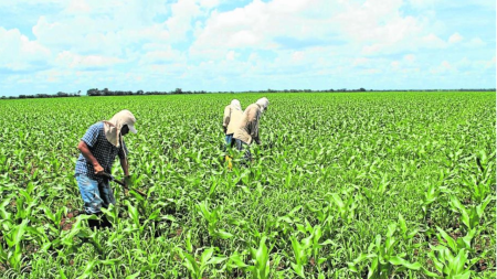 ¿Cómo se convierten los desechos orgánicos en recursos útiles para el agro en Colombia?