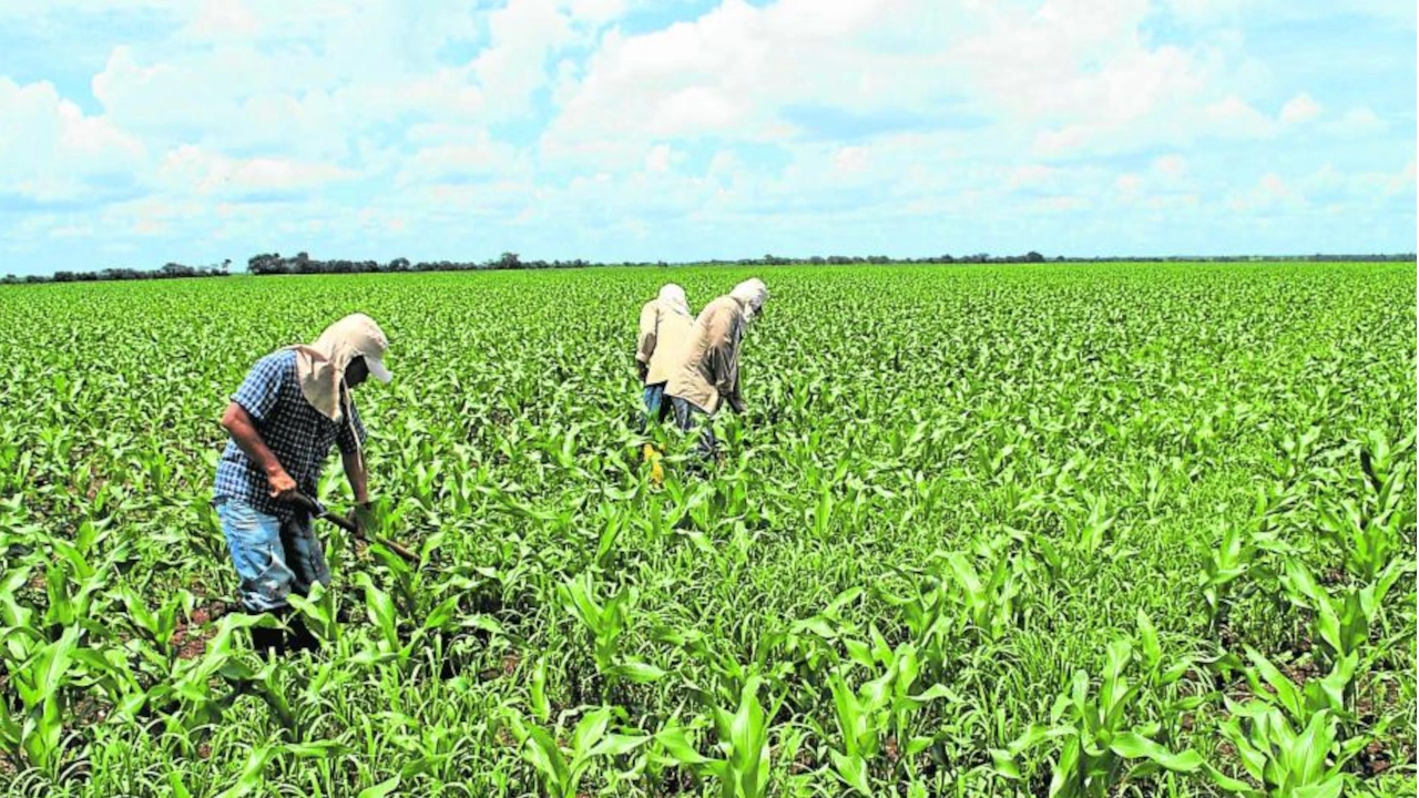 ¿Cómo se convierten los desechos orgánicos en recursos útiles para el agro en Colombia?