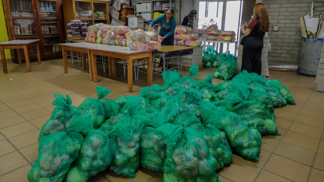 ¡Más apoyo! En La Ceja 3.400 estudiantes recibirán kits de alimentación para sus vacaciones de fin de año 3 alimentos-estudiantes-laceja-receso-escolar3