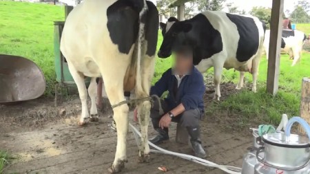 almacenamiento-leche-incentivo