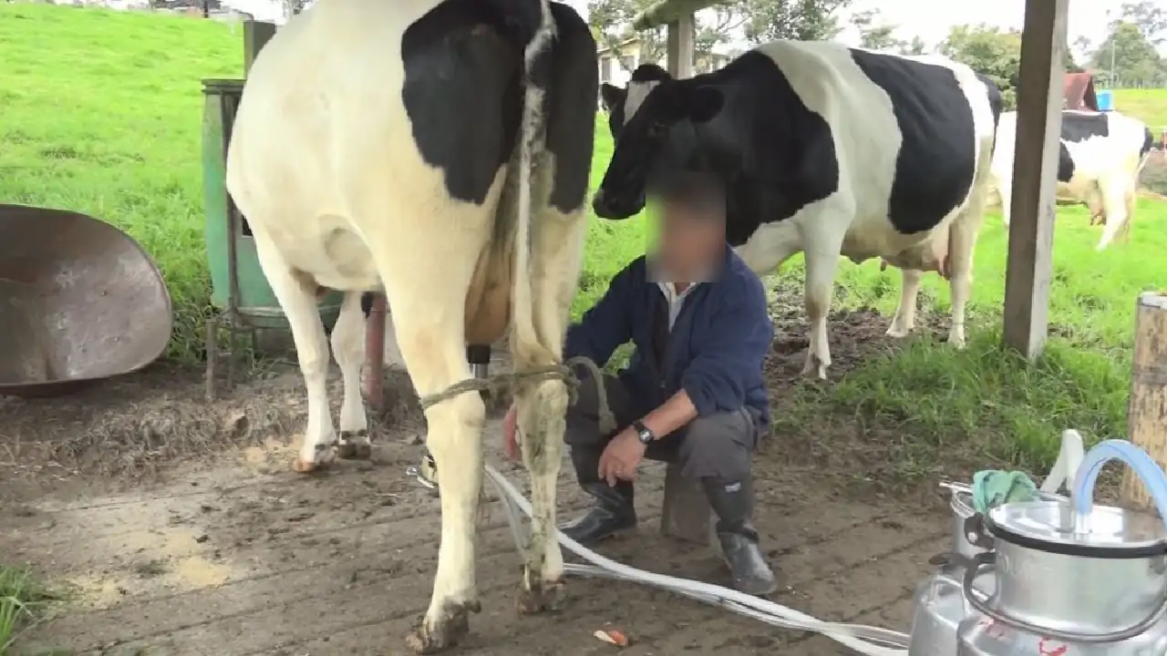 almacenamiento-leche-incentivo