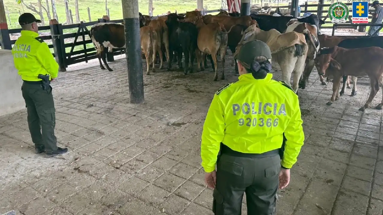 Cabecilla del Clan del Golfo puso a nombre de familiares y amigos 101 bienes que ya fueron ocupados con extinción de dominio 2 bienes-cabecilla-clangolfo-extoincion-dominio-pelomono1
