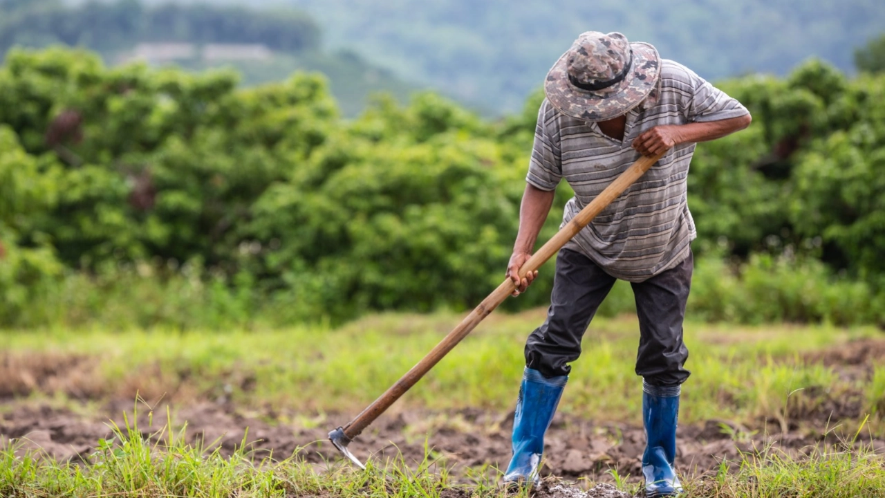 campesino