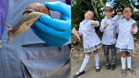 caracoles ninos estudiantes