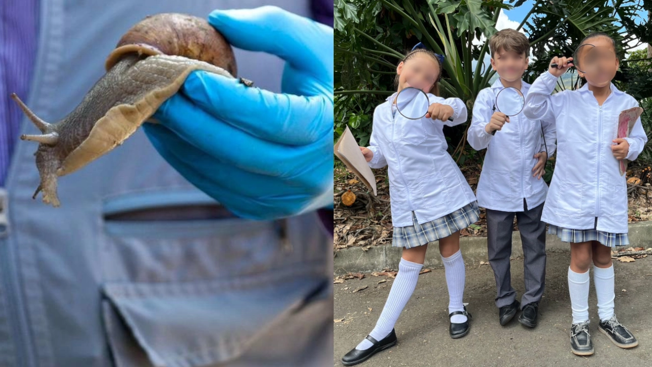 caracoles ninos estudiantes