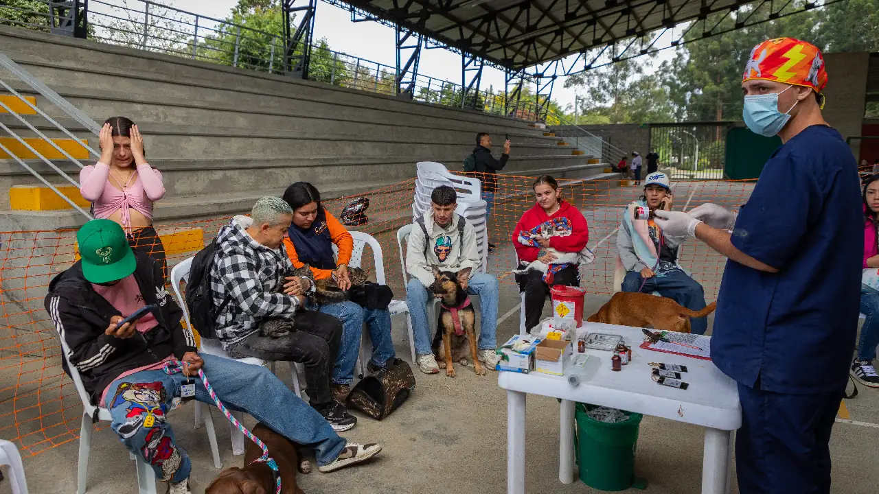 esterilizacion-laceja-animales1
