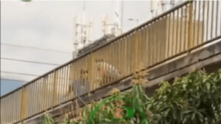 ¡Pelea entre habitantes de calle! uno de ellos lanza una piedra que impacta en un vehículo