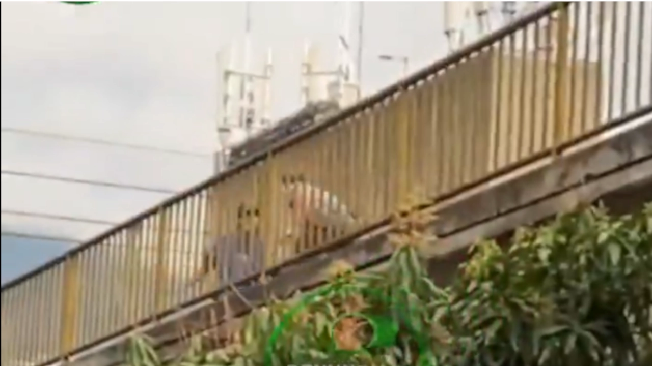 ¡Pelea entre habitantes de calle! uno de ellos lanza una piedra que impacta en un vehículo