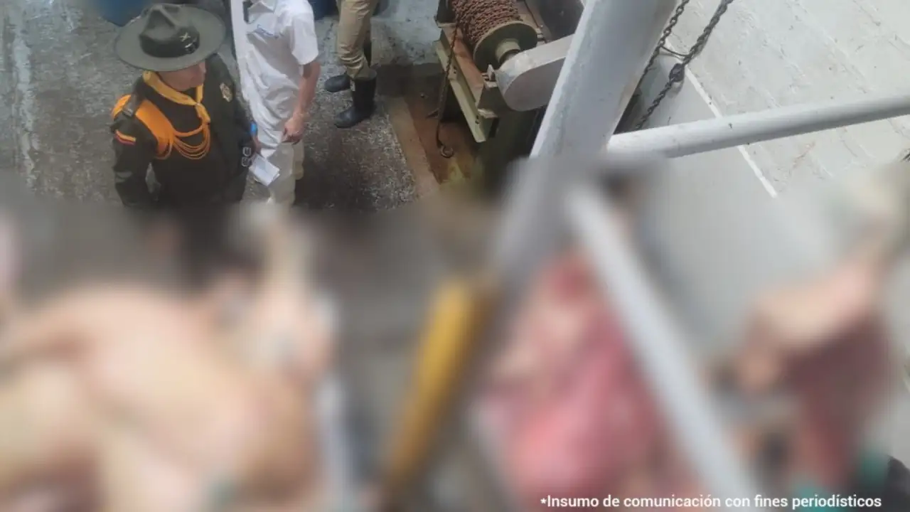 imputan-cargos-losclandestinos-comercializar-carne-mala1