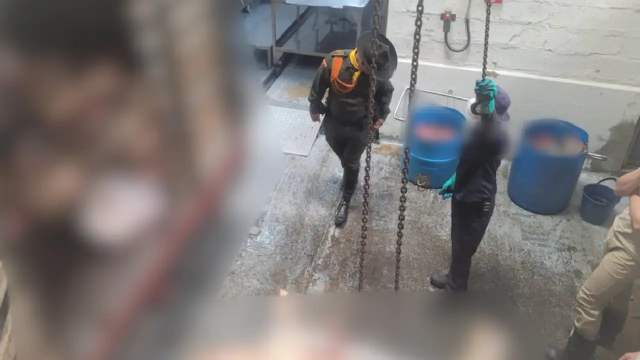 imputan-cargos-losclandestinos-comercializar-carne-mala3