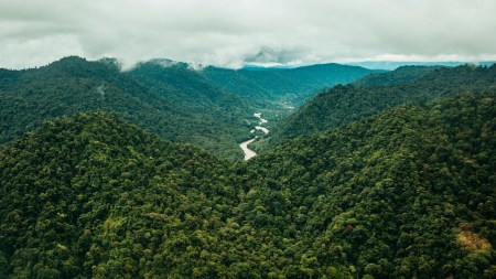 El trabajo de Masbosques en el Oriente antioqueño se realiza en estrecha colaboración con entidades públicas y privadas