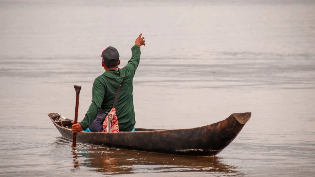 Balance positivo dejan proyectos REDD+ en Guainía, Guaviare y Vaupés