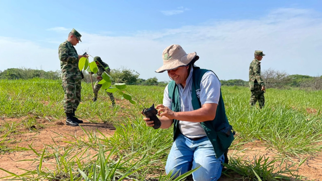 El trabajo de Masbosques en el Oriente antioqueño se realiza en estrecha colaboración con entidades públicas y privadas