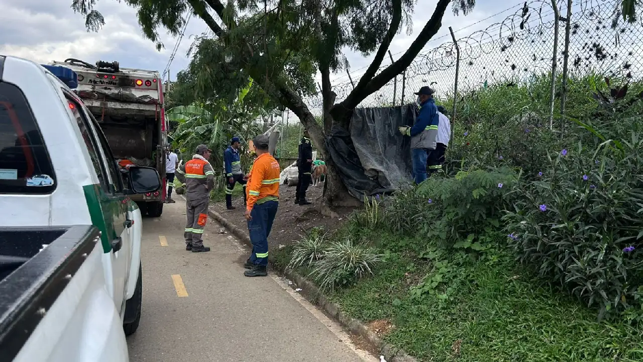 En un operativo en la malla del aeropuerto Olaya Herrera, Medellín, se recolectaron 7.350 kilos de basura 3 operativo-limpieza-aeropuerto-olayaherrera1