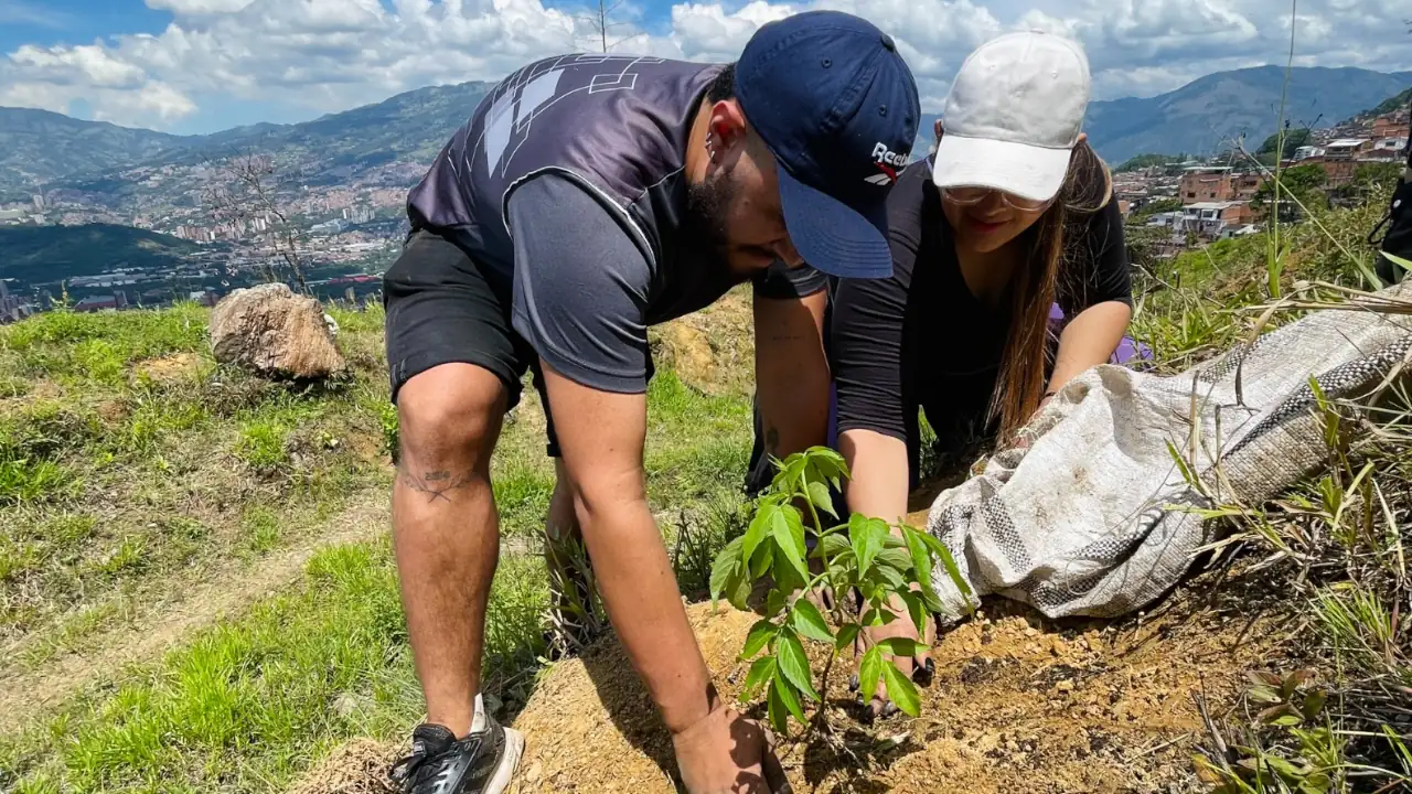Sembratón en Medellín: 46.000 nuevos árboles para el Bosque de los Héroes