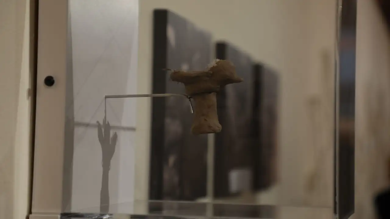 La exposición ‘Horizontes Seguros’ llega a Medellín para reflexionar sobre la restauración y la memoria histórica