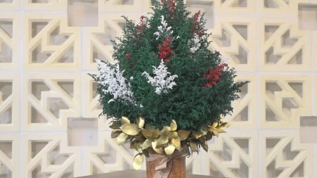 Decoración flores naturales para diciembre