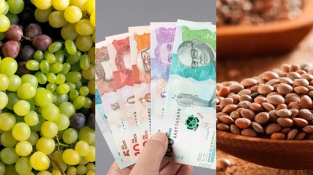 Agüeros colombianos para cerrar 2024 y atraer cosas positivas para el 2025, ¿cuál otro recimienda? agueros 1
